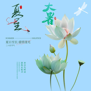 夏至素材