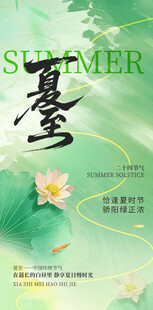 夏至节气墨韵荷花海报