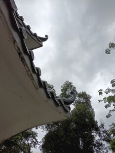 中式屋檐与天际绿树相映