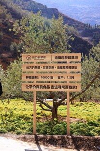 山间指示牌指引多样去处