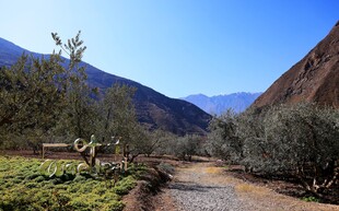 山间崎岖小路