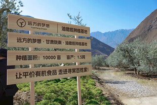 山间路标指示多样地点