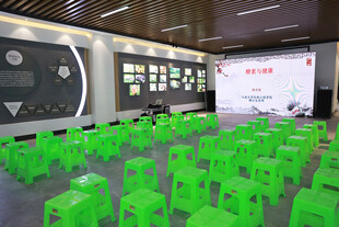 绿色座椅会议室场景