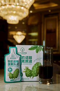 植物乳酸菌饮品