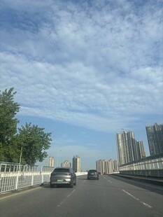 城市道路上行驶的车辆