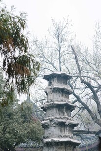 古雅石塔隐于林间