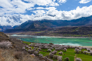湖畔繁花与远山美景