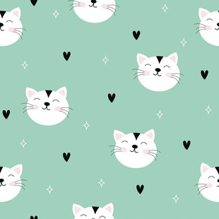 猫咪