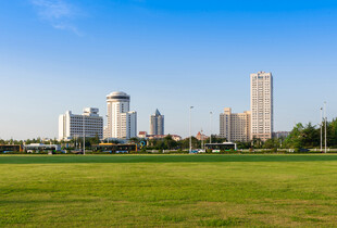 城市绿地旁的高楼景观