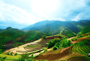 山间梯田美景