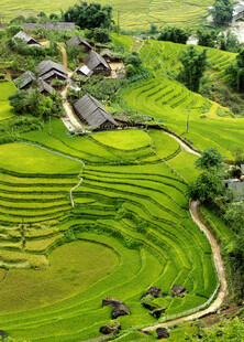 翠绿梯田与山间村落美景