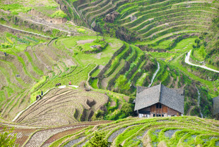 山间梯田小屋美景