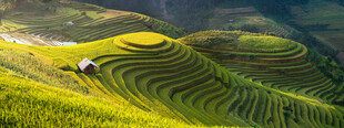 山间梯田美景
