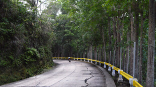 山间蜿蜒公路护栏景观