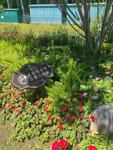 花园中的精致装饰摆件
