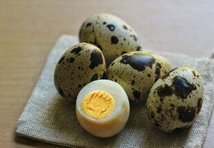 新鲜鹌鹑蛋