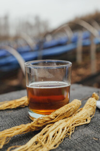 一杯参茶