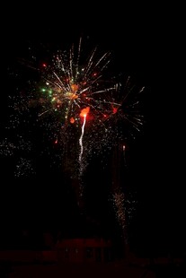 夜空中绚烂绽放的烟花