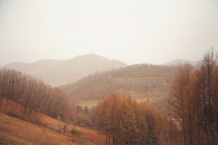 秋日山林景色