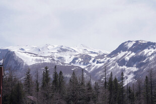 雪山下的森林美景