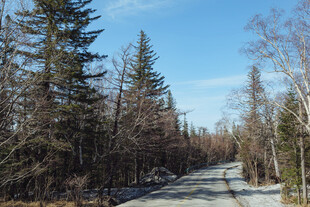 林间公路