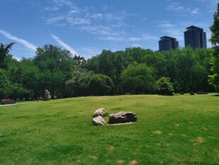 草坪上休憩的悠闲场景