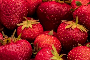 新鲜饱满的草莓果实