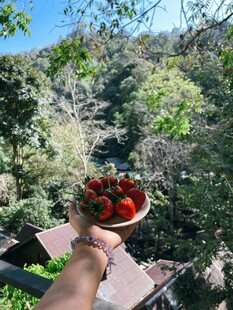 手捧鲜果于山林美景间