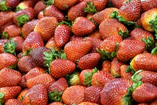 新鲜饱满的草莓果实