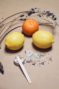 柠檬橙子与香料静物组合