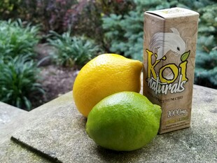 柠檬青柠与茶包的组合