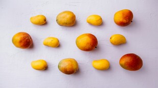 多彩小果整齐排列