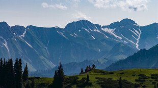 壮丽高山草原美景