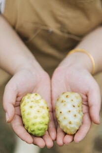 手中的释迦果特写
