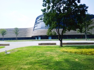 现代建筑旁的绿意景致