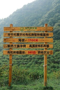 景区指示牌指引游览方向