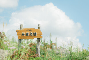 户外AR28路标指示牌