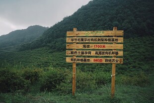山间指示牌指引游览方向