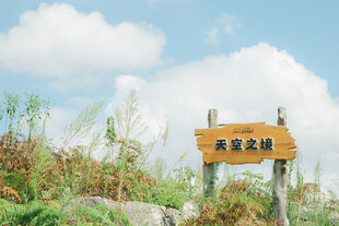 山间木牌路标