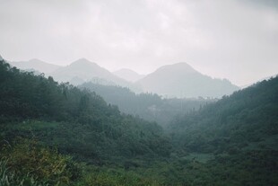 山间雾霭中的葱郁山林