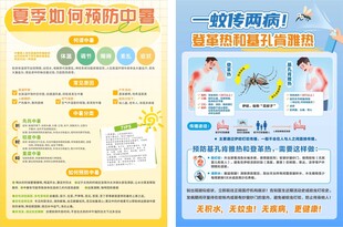 防暑预防登革热宣传海报