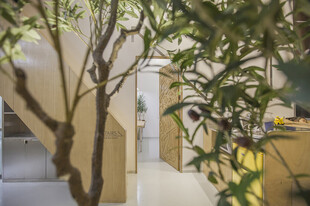 室内绿植环绕的楼梯空间
