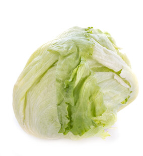 新鲜圆生菜