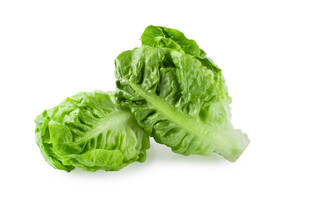 新鲜生菜翠绿欲滴