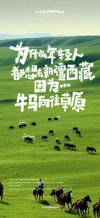草原牛马群与远方诗意风景