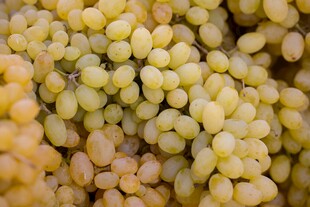 金黄饱满的葡萄果实