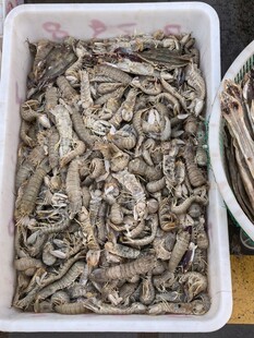 装满海鲜的白色容器