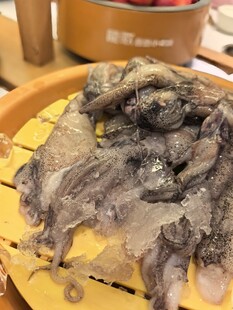 新鲜章鱼诱人海鲜美味