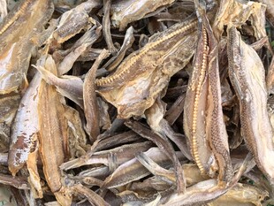 干制小鱼干
