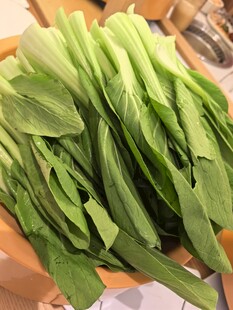 新鲜油麦菜